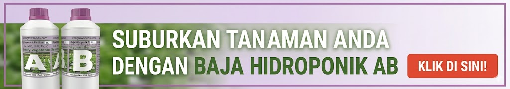 Baja Banner